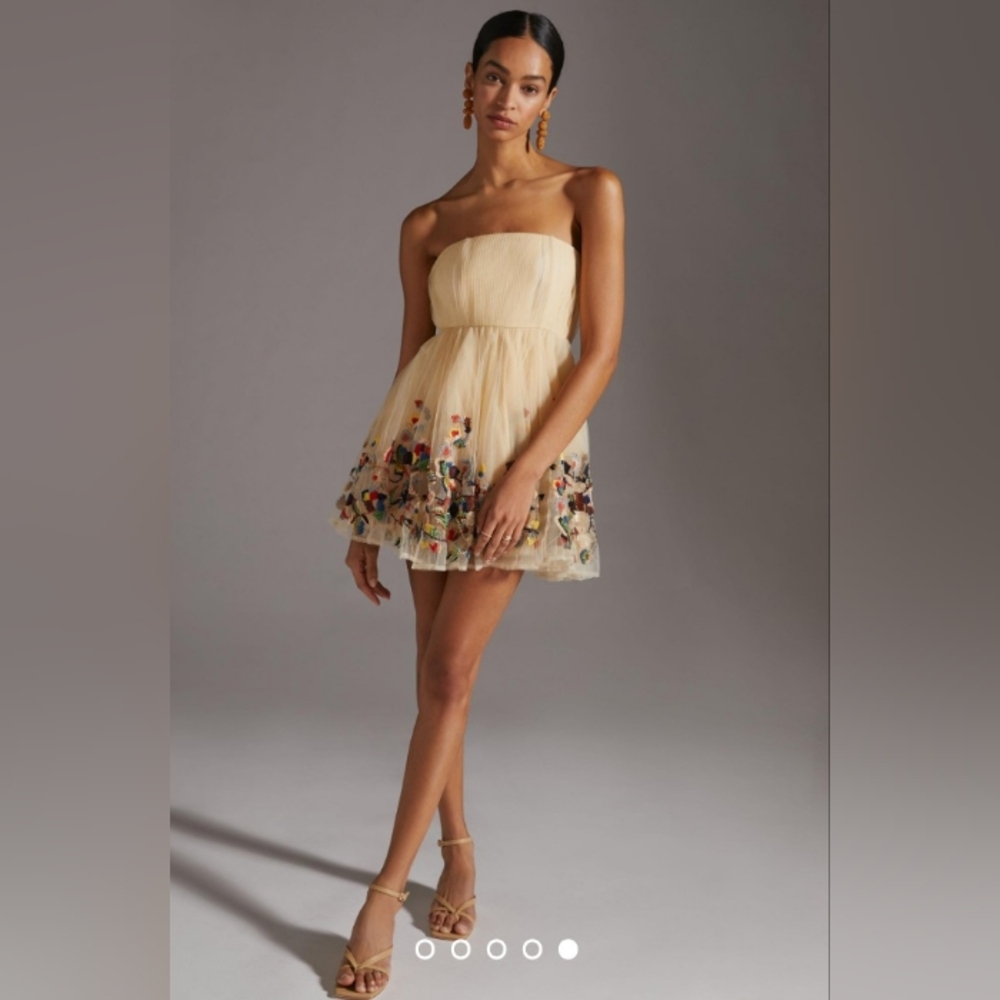 NWT Nikita Mhaisalkar Beige Beaded Embroidered Dress Size 4 ANTHROPOLOGIE - Picture 3 of 11